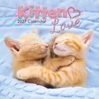image Kitten Love 2027 Wall Calendar Main Product Image