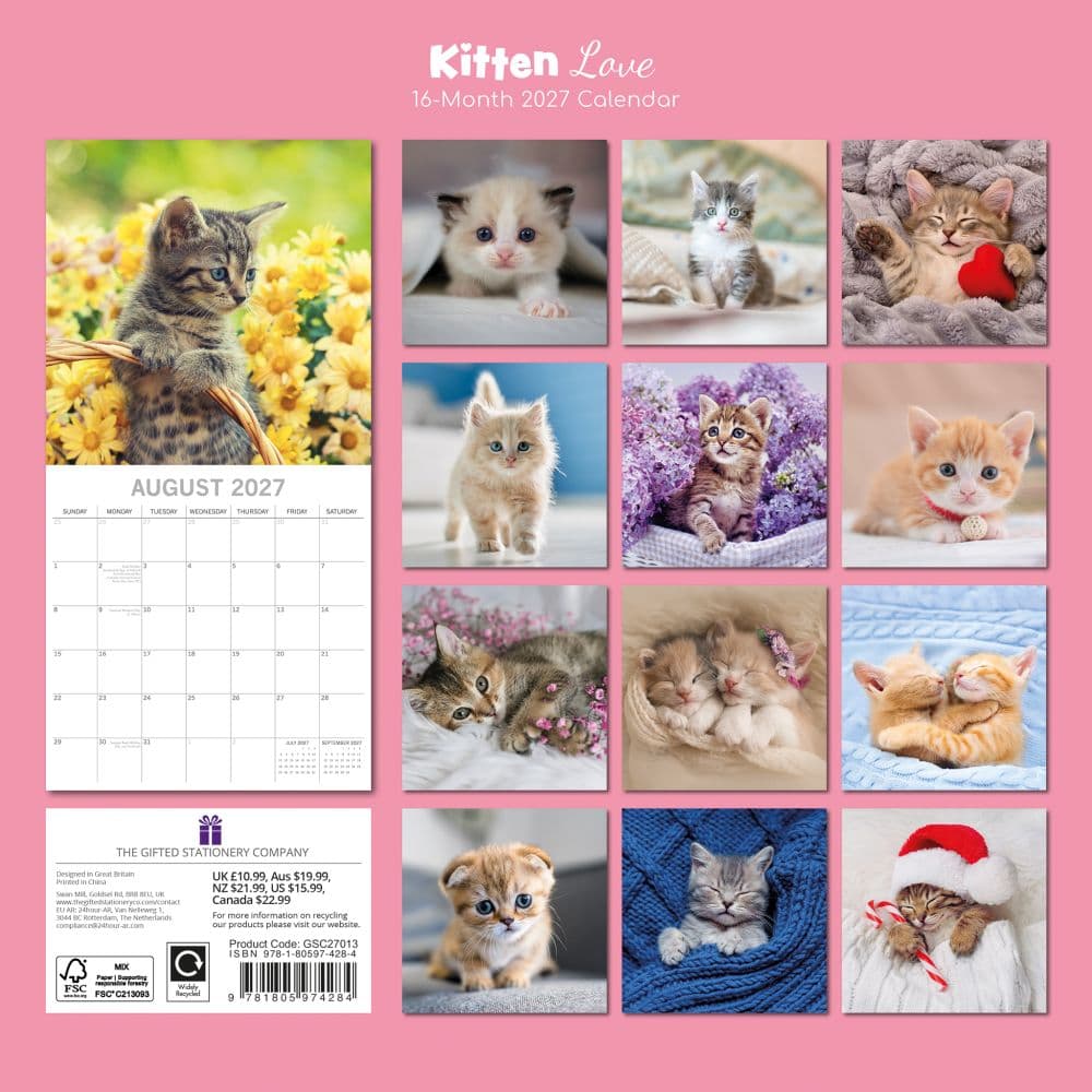 Kitten Love 2027 Wall Calendar First Alternate Image