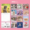 image Kitten Love 2027 Wall Calendar First Alternate Image