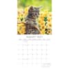 image Kitten Love 2027 Wall Calendar Second Alternate Image