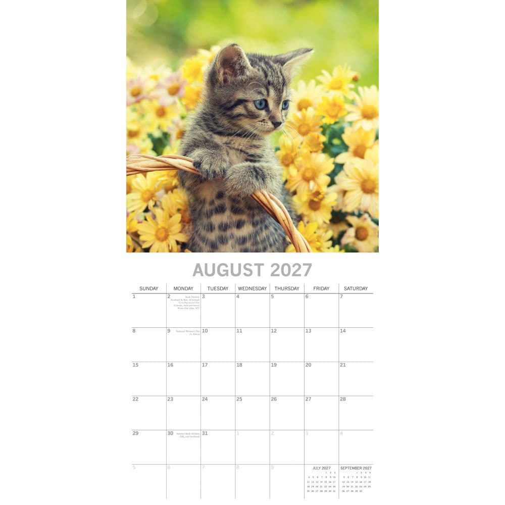 Kitten Love 2027 Wall Calendar Second Alternate Image