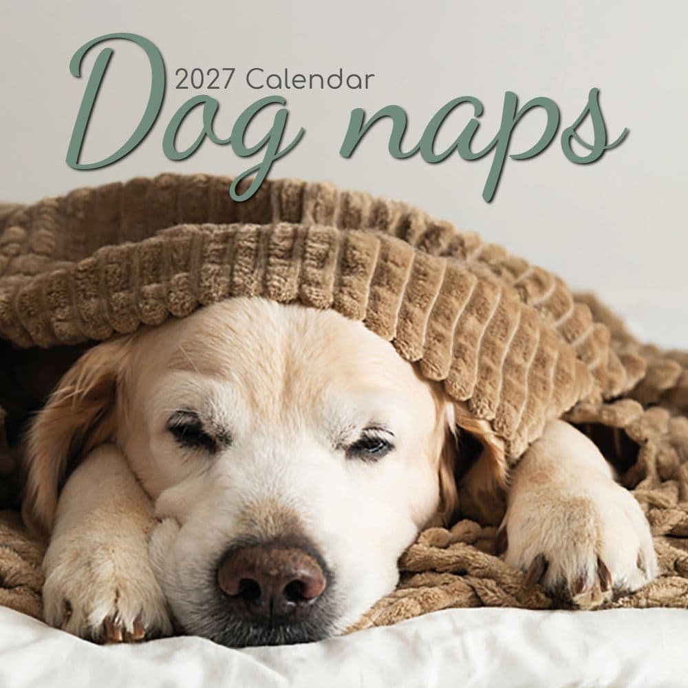 Dog Naps 2027 Wall Calendar Main Product Image