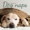 image Dog Naps 2027 Wall Calendar Main Product Image
