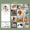 image Dog Naps 2027 Wall Calendar First Alternate Image