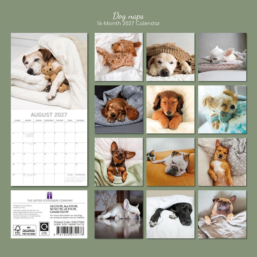 Dog Naps 2027 Wall Calendar First Alternate Image