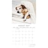 image Dog Naps 2027 Wall Calendar Second Alternate Image