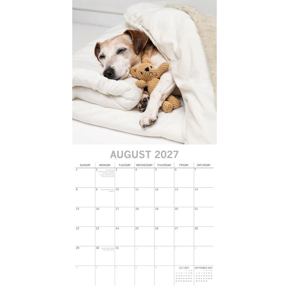 Dog Naps 2027 Wall Calendar Second Alternate Image