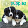 image Cute Puppies 2027 Wall Calendar Main Product Image