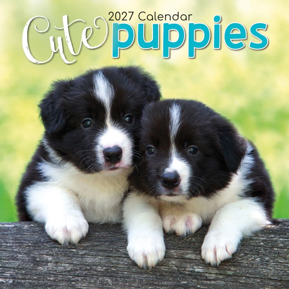 image Cute Puppies 2027 Wall Calendar Main Product Image