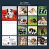 image Cute Puppies 2027 Wall Calendar First Alternate Image