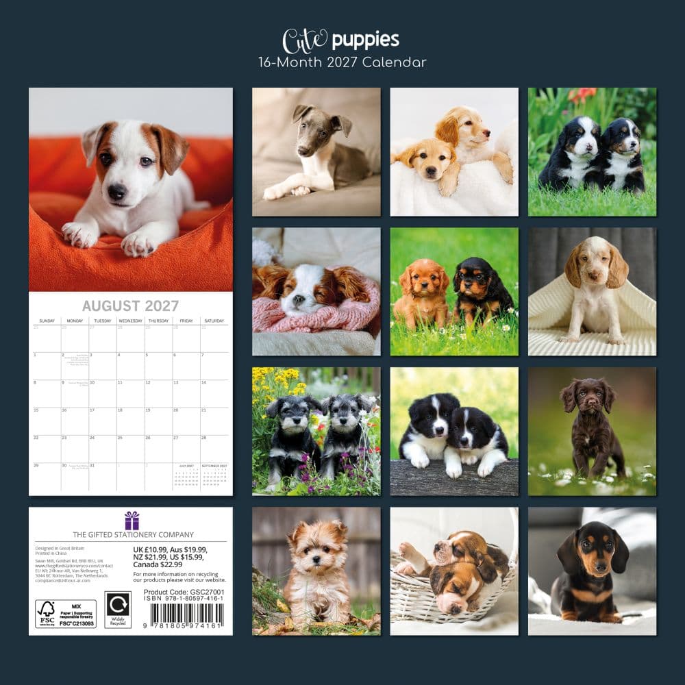 Cute Puppies 2027 Wall Calendar First Alternate Image