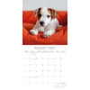 image Cute Puppies 2027 Wall Calendar Second Alternate Image