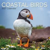 image Coastal Birds 2027 Wall Calendar Main Product Image