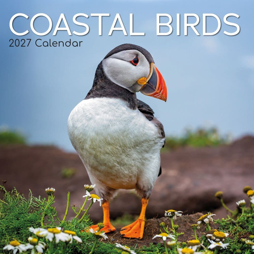 image Coastal Birds 2027 Wall Calendar Main Product Image