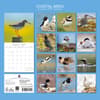 image Coastal Birds 2027 Wall Calendar First Alternate Image