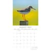 image Coastal Birds 2027 Wall Calendar Second Alternate Image