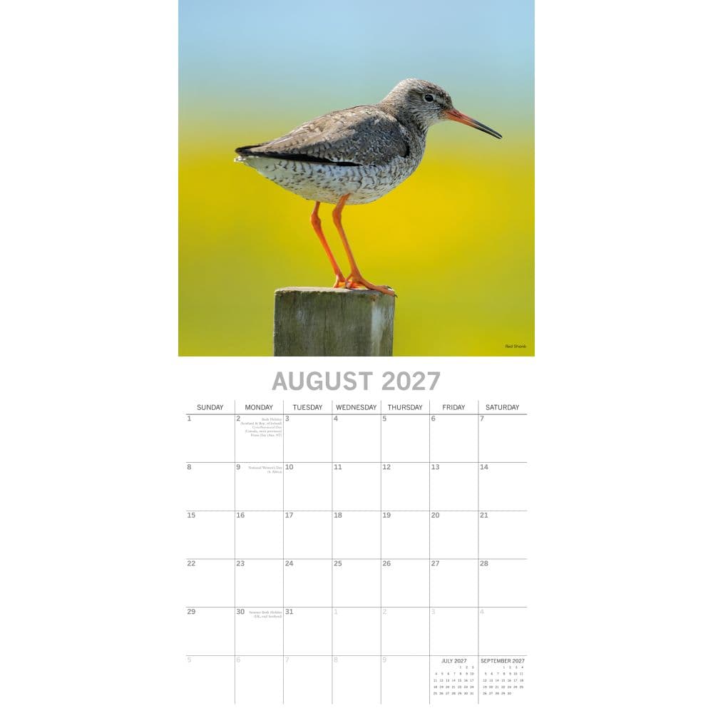 Coastal Birds 2027 Wall Calendar Second Alternate Image