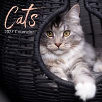 image Cats 2027 Wall Calendar Main Product Image