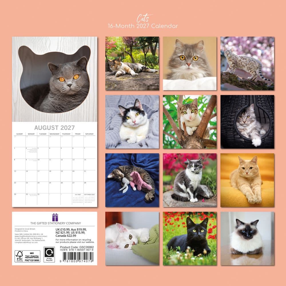Cats 2027 Wall Calendar First Alternate Image