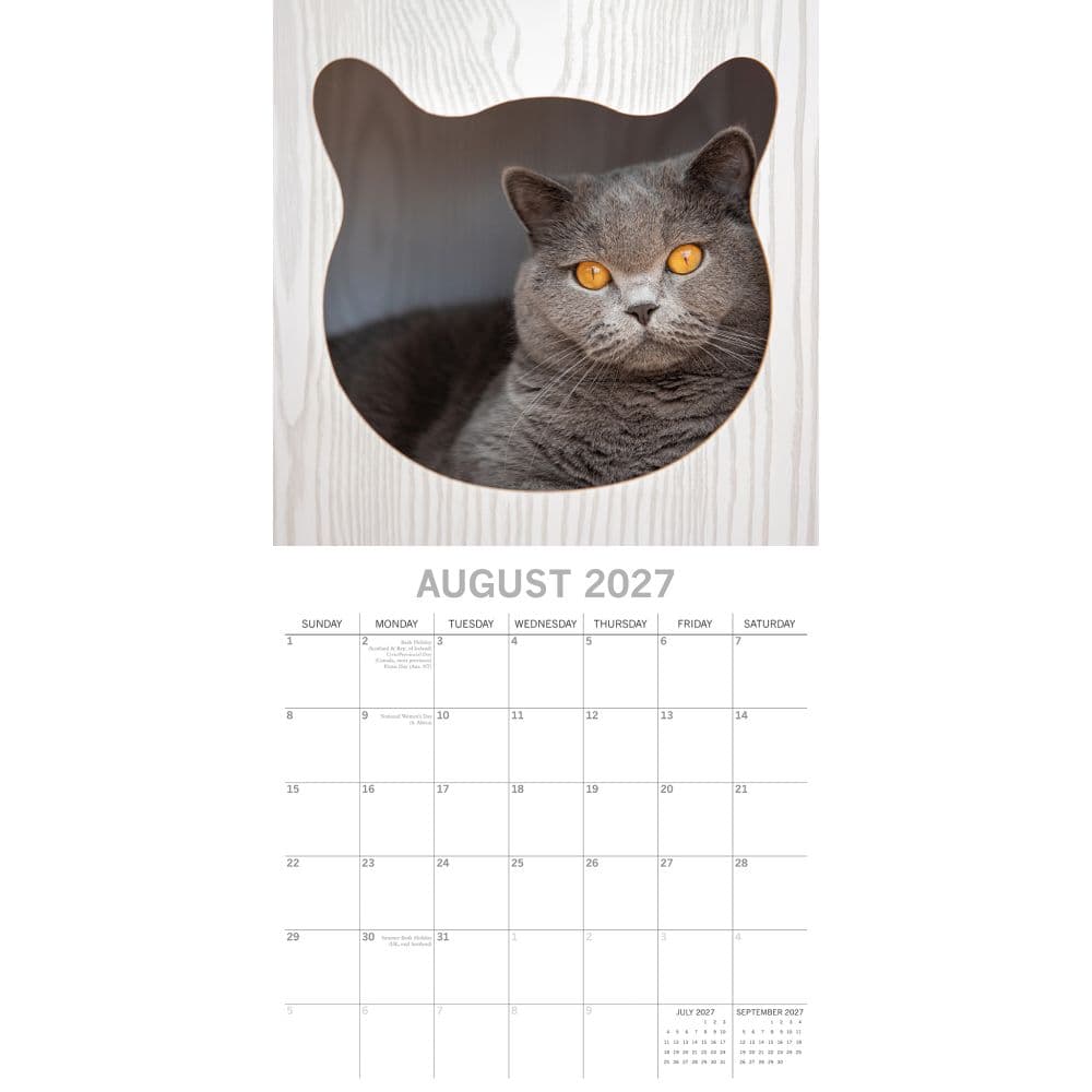 Cats 2027 Wall Calendar Second Alternate Image