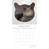 image Cats 2027 Wall Calendar Second Alternate Image