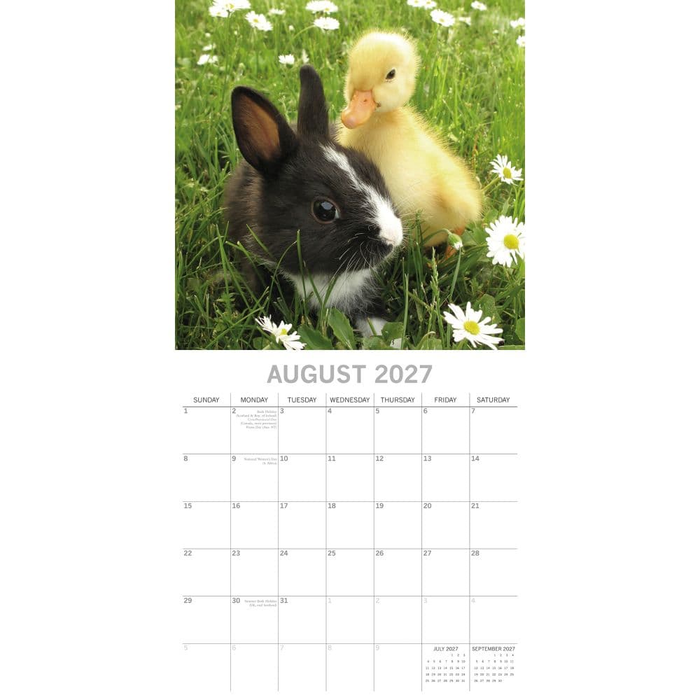 Baby Farm Animals 2027 Wall Calendar Second Alternate Image
