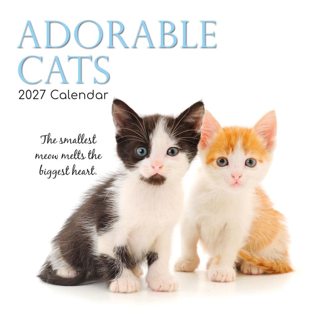 Adorable Cats 2027 Wall Calendar Main Product Image
