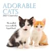 image Adorable Cats 2027 Wall Calendar Main Product Image
