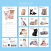 image Adorable Cats 2027 Wall Calendar First Alternate Image