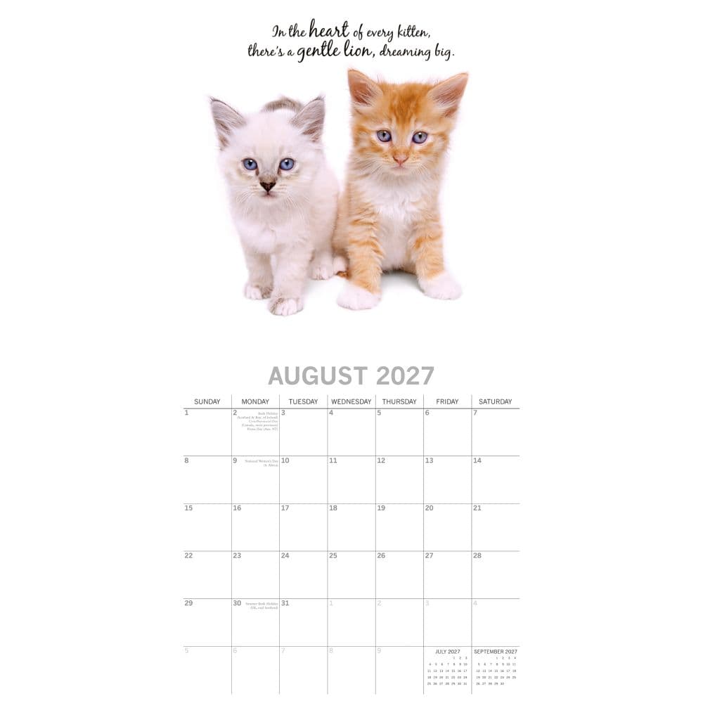 Adorable Cats 2027 Wall Calendar Second Alternate Image