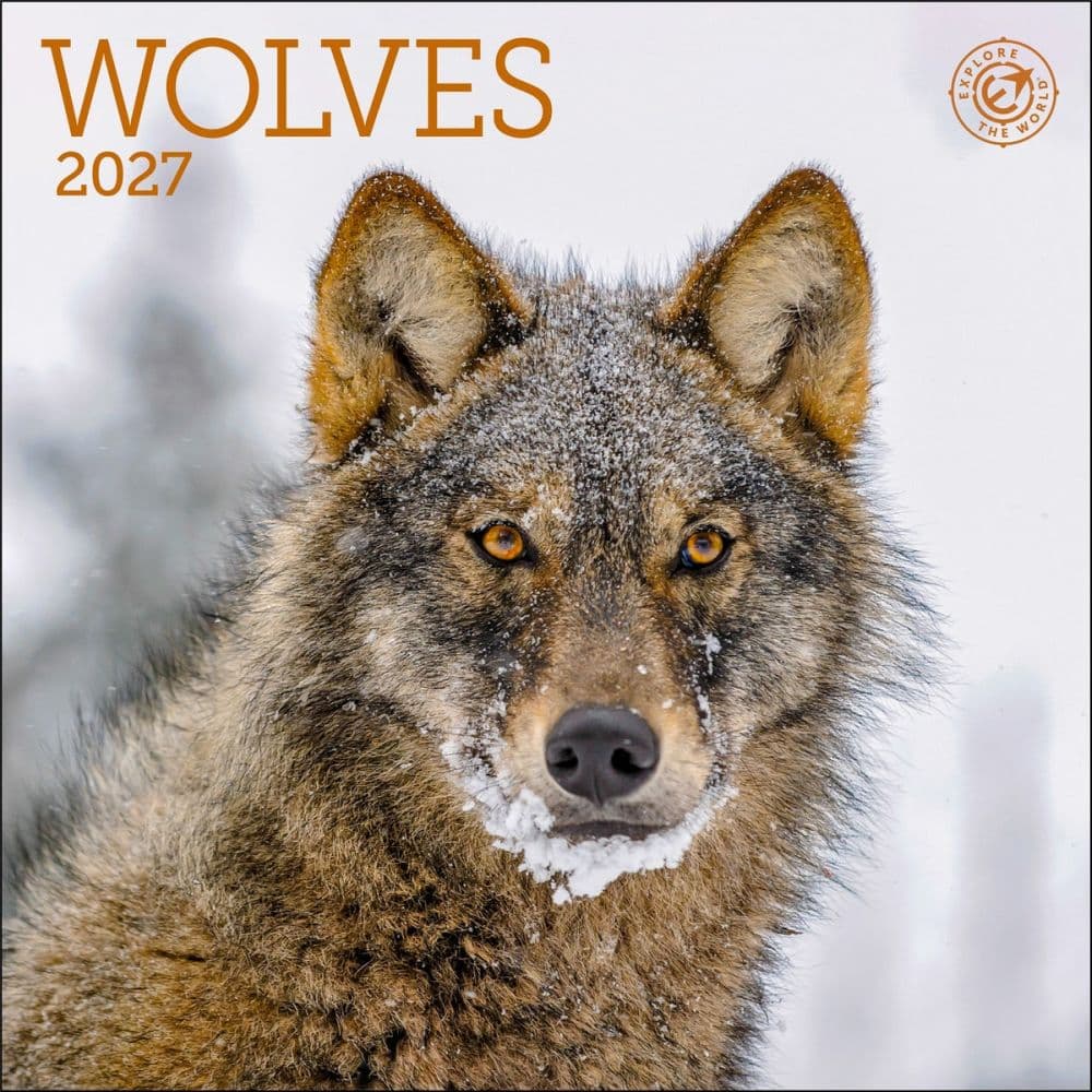 Wolves 2027 Mini Wall Calendar Main Product Image
