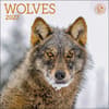 image Wolves 2027 Mini Wall Calendar Main Product Image