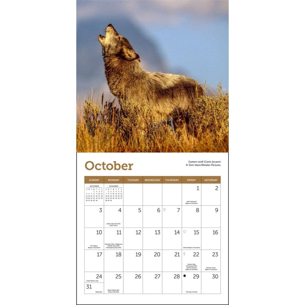 Wolves 2027 Mini Wall Calendar Fourth Alternate Image