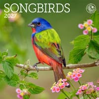 image Songbirds 2027 Mini Wall Calendar Main Product Image