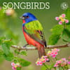 image Songbirds 2027 Mini Wall Calendar Main Product Image