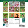 image Songbirds 2027 Mini Wall Calendar First Alternate Image