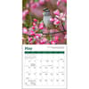 image Songbirds 2027 Mini Wall Calendar Second Alternate Image