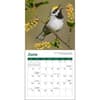 image Songbirds 2027 Mini Wall Calendar Third Alternate Image