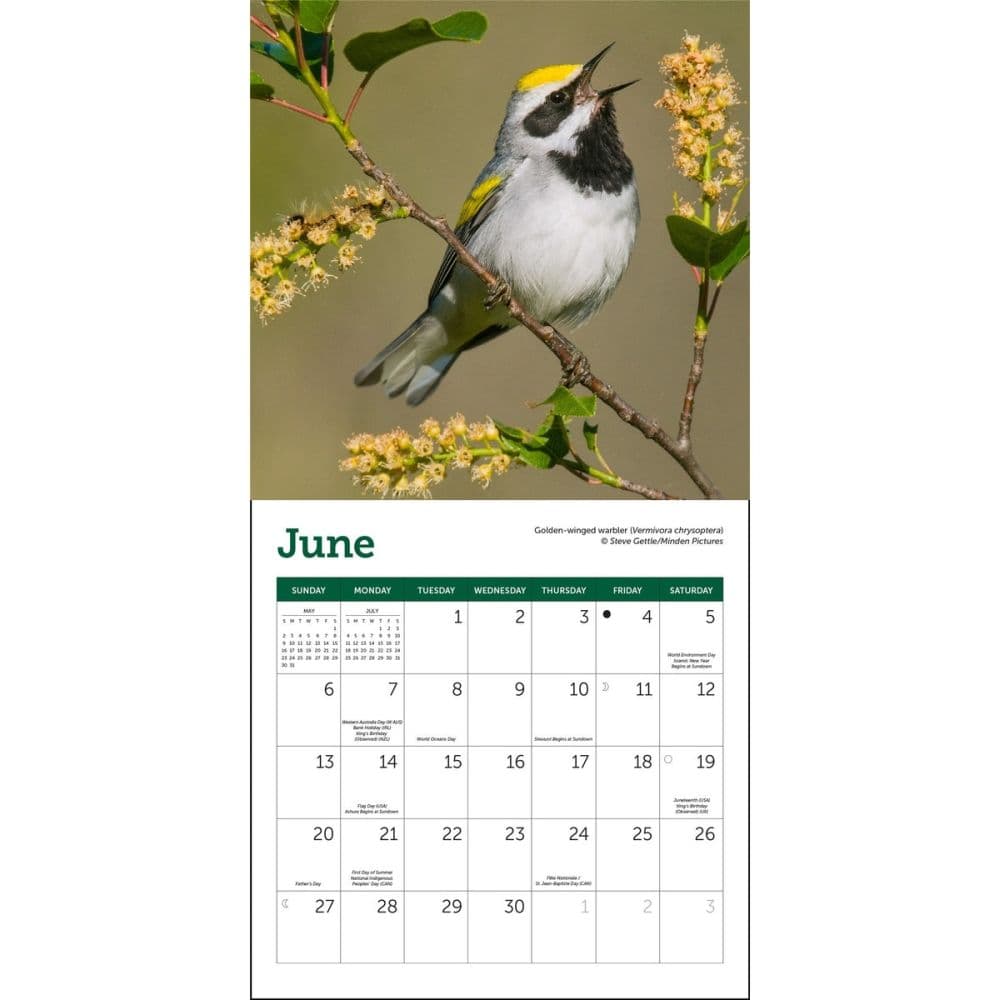 Songbirds 2027 Mini Wall Calendar Third Alternate Image