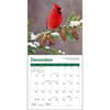 image Songbirds 2027 Mini Wall Calendar Fourth Alternate Image