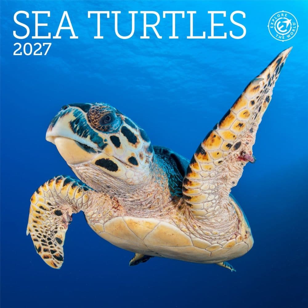 image Sea Turtles 2027 Mini Wall Calendar Main Product Image