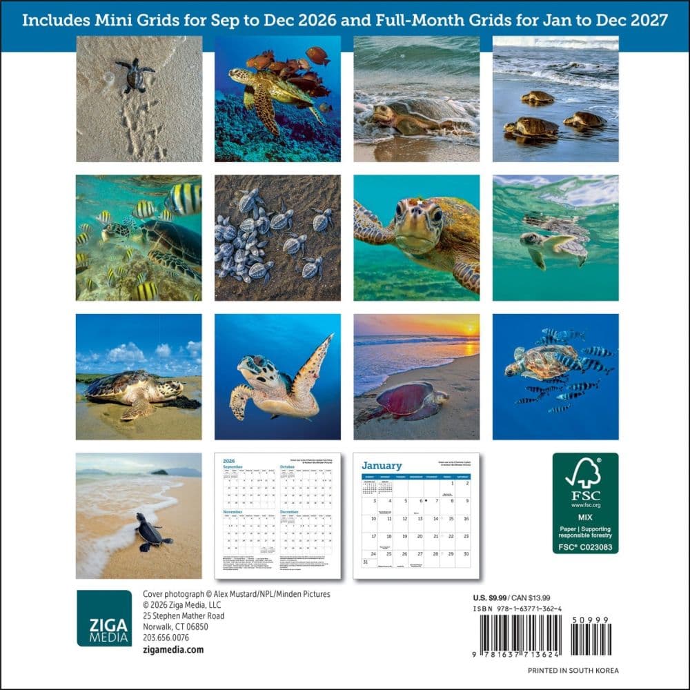 Sea Turtles 2027 Mini Wall Calendar First Alternate Image