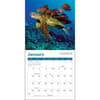 image Sea Turtles 2027 Mini Wall Calendar Second Alternate Image