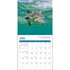 image Sea Turtles 2027 Mini Wall Calendar Third Alternate Image