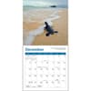 image Sea Turtles 2027 Mini Wall Calendar Fourth Alternate Image