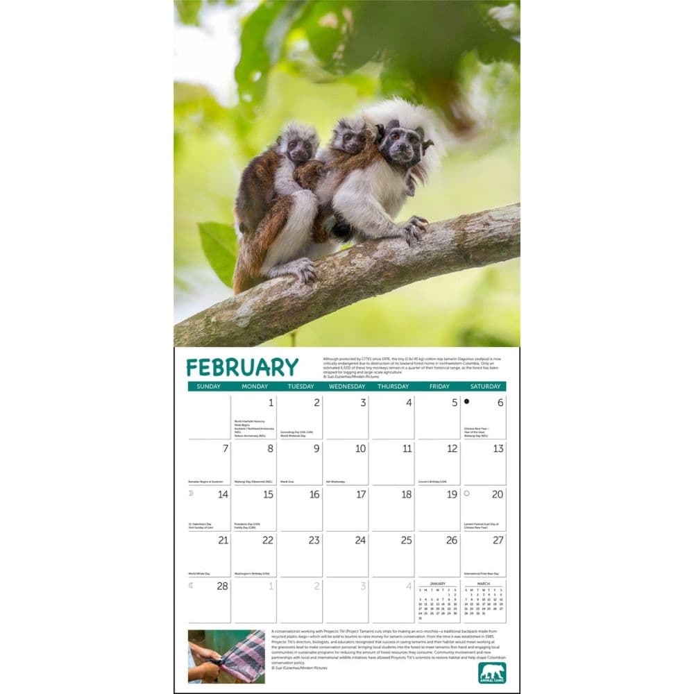 Project Green 2027 Wall Calendar Second Alternate Image