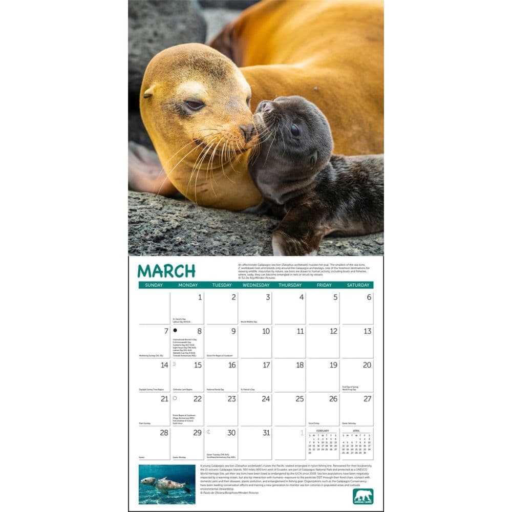 Project Green 2027 Wall Calendar Third Alternate Image