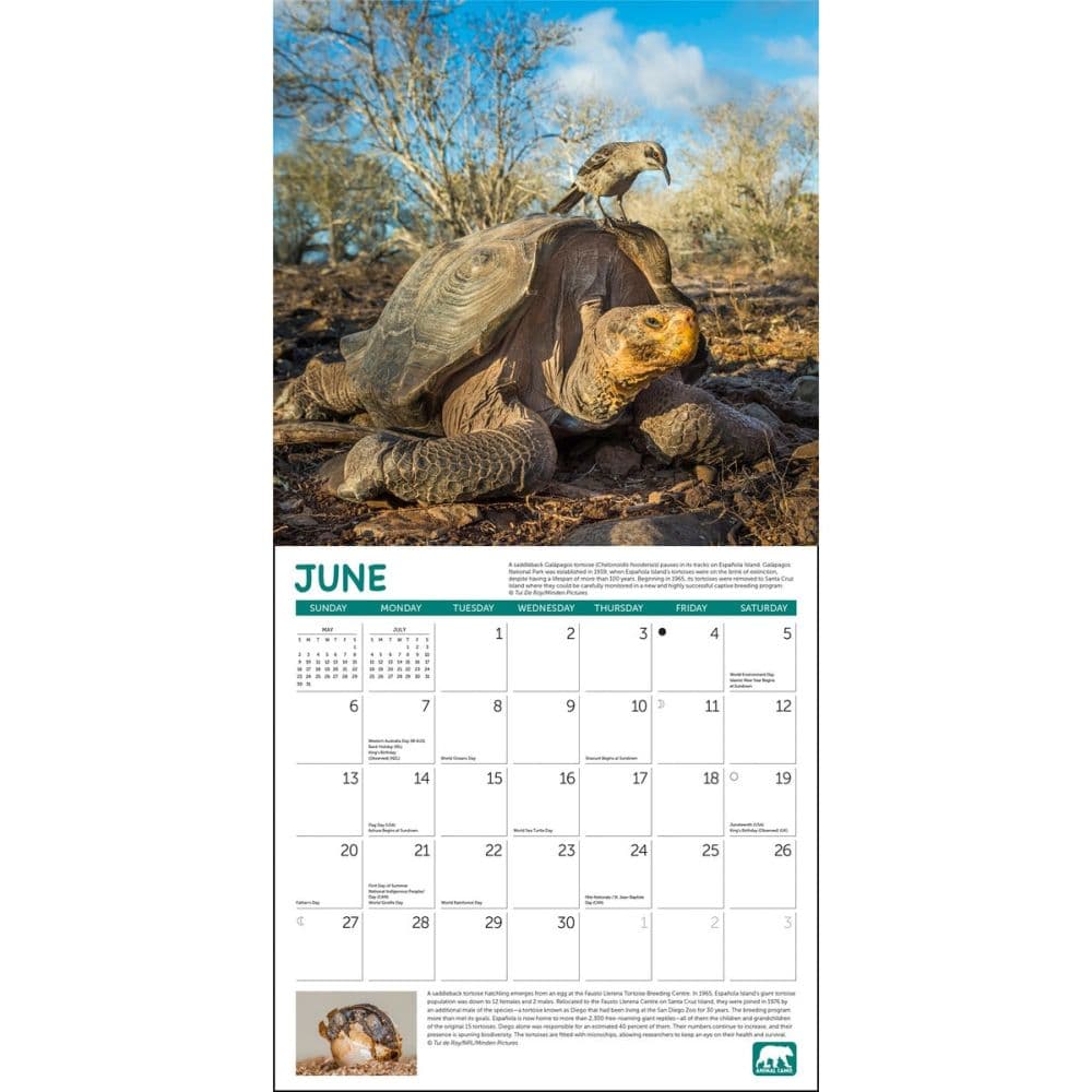 Project Green 2027 Wall Calendar Fourth Alternate Image