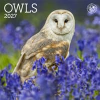 image Owls 2027 Mini Wall Calendar Main Product Image