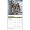 image Owls 2027 Mini Wall Calendar Fourth Alternate Image
